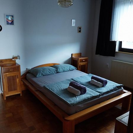 Apartment Katrin Zirovnica Ngoại thất bức ảnh