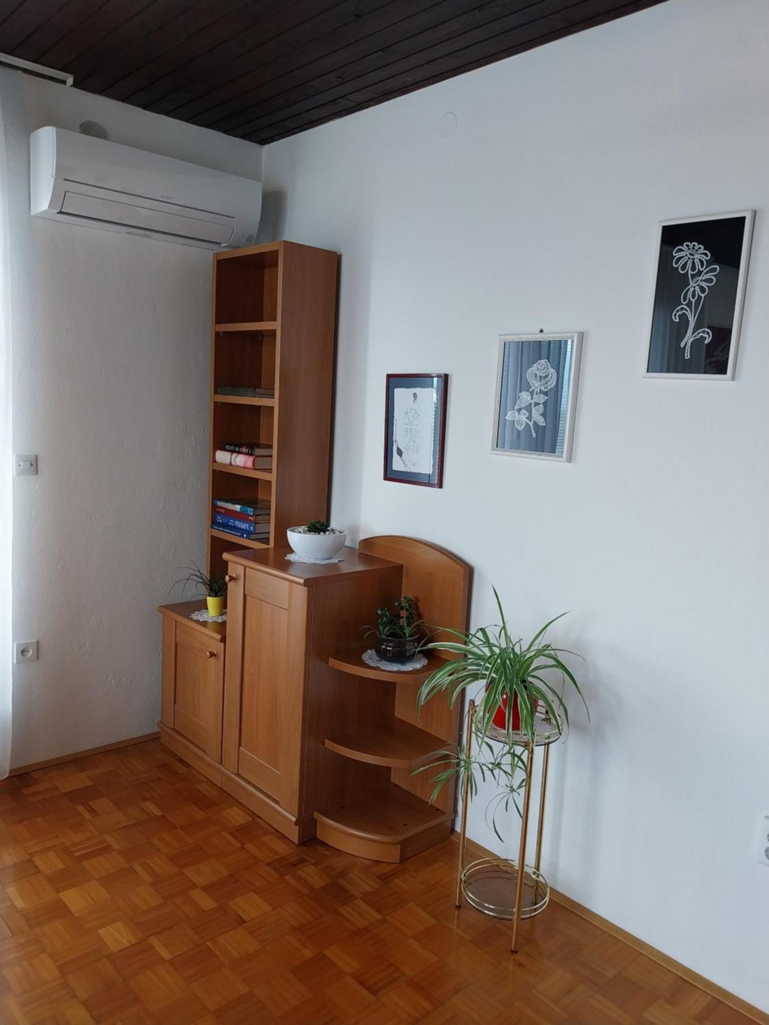 Apartment Katrin Zirovnica Ngoại thất bức ảnh
